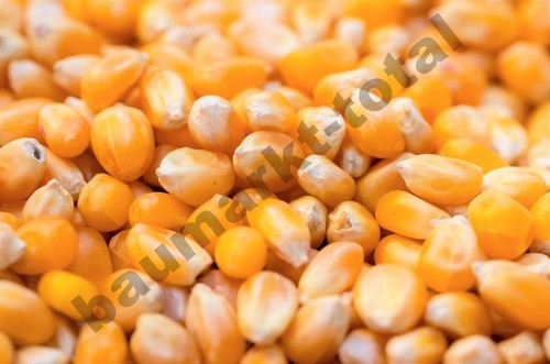 Mais 25kg futtermais - mais,