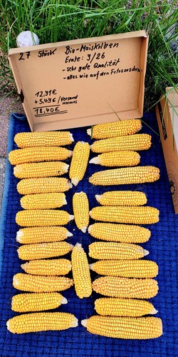 Bio maiskolben futtermais - bio-maiskolben, ,