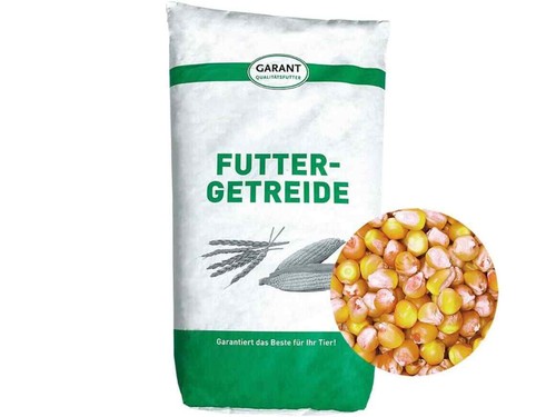 Mais ohne gentechnik kg - gentechnik,