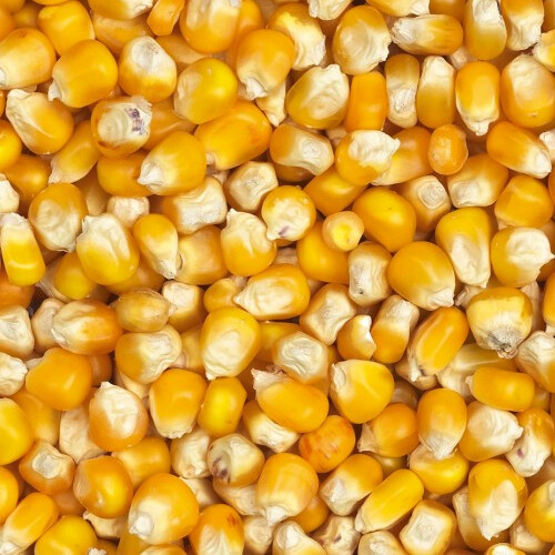 Eurital yellow crisp - mais, 5