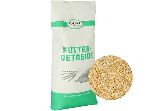 Maisschrot ohne gentechnik - maisschrot,
