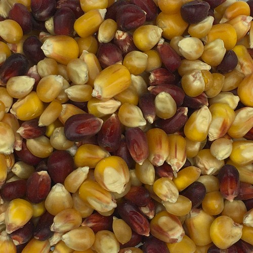 Multi mais mix gladen 2 - multi-mais-mix,
