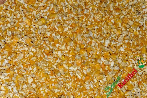 Mais gerissen bruchmais - 30, kg