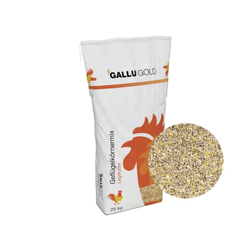 Gallugold hühner - gallugold,