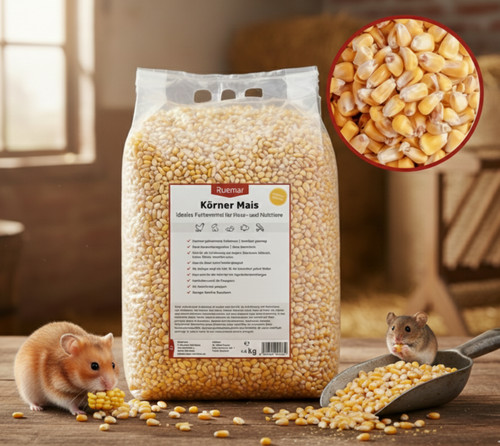 Futtermais körner mais - körner, gelb